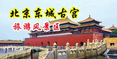 男人的大鸡巴操小逼逼视频中国北京-东城古宫旅游风景区
